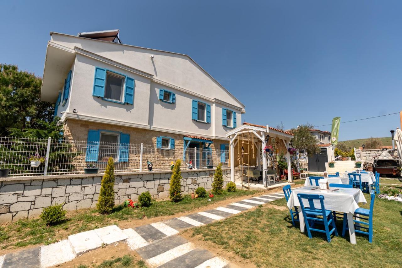 מלון בוזקאדה Vina Garden מראה חיצוני תמונה
